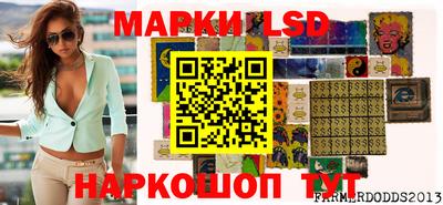 стаф Новодвинск
