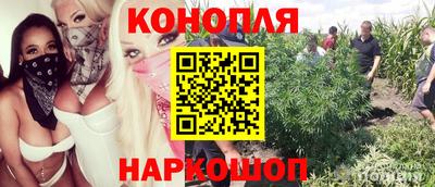 трава Новозыбков