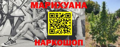 трава Новозыбков