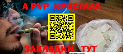 стаф Новодвинск